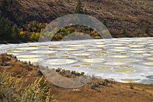 Spotted Lake Osoyoos BC CanadaÃÂ  photo
